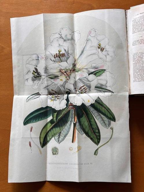 Louis van Houtte - Flore des Serres et des Jardins de, Antiek en Kunst, Antiek | Boeken en Manuscripten