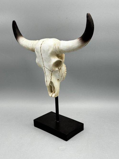 buffel schedel - Figure - Résine, plastique, Antiek en Kunst, Kunst | Designobjecten