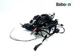 Kabelboom BMW F 800 GS 2013-2016 (F800GS 13), Motoren, Verzenden, Gebruikt