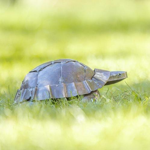 Sculpture, Schildpad - 150 mm - Métal, Antiek en Kunst, Kunst | Designobjecten