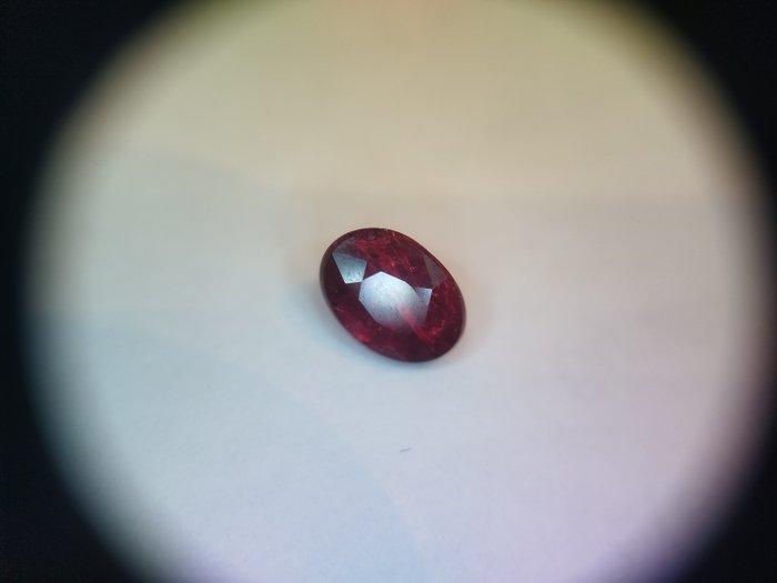 Zonder minimumprijs - 1 pcs Rood Robijn - 1.00 ct - Lotus, Handtassen en Accessoires, Edelstenen