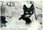 Cats. 30 Postkarten - 30 Postcards - 30 Cartes Postales, Verzenden