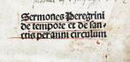 Peregrinus (de Opole) - [Incunable 1495] Sermones De Tempore, Antiek en Kunst