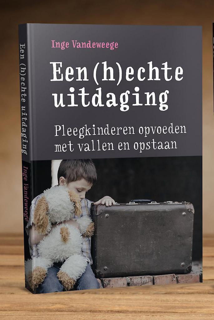 Een (h)echte uitdaging 9789492905000 Inge Vandeweege, Boeken, Zwangerschap en Opvoeding, Gelezen, Verzenden