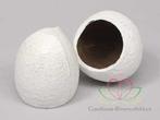 Coconut Top-cut Kokosnoot Wit 5 stuks 480 gram, Nieuw