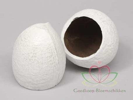 Coconut Top-cut Kokosnoot Wit 5 stuks 480 gram, Huis en Inrichting, Woonaccessoires | Kunstplanten en Kunstbloemen, Nieuw