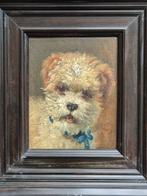 Otto Eerelman (1839-1926), Toegeschreven aan - Terriër met