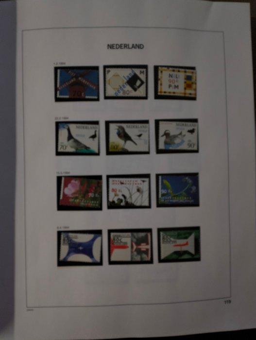 Nederland - Enorme partij in 20 albums, Postzegels en Munten, Postzegels | Nederland