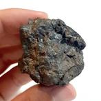 Sericho-meteoriet. Pallasiet uit Kenia - 116 g, Verzamelen, Mineralen en Fossielen