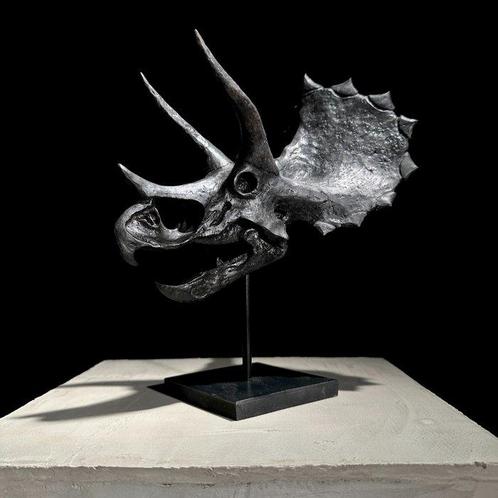 SANS PRIX DE RÉSERVE - Réplique de crâne de dinosaure, Antiek en Kunst, Kunst | Designobjecten