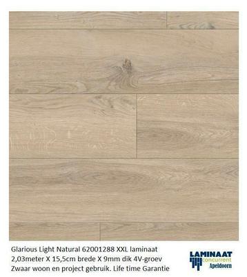 Berry Alloc Glorious Laminaat Light Natural 62001288 9mm dik