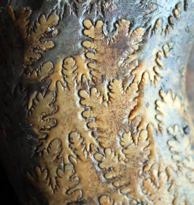 Ammoniet - Gefossiliseerde schelp - Pseudogrammoceras - 16, Verzamelen, Mineralen en Fossielen