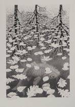 M.C. Escher (1898-1972) - Automne et carpe