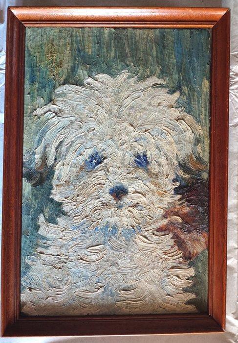 Europese school (XX) - Ritratto di cagnolino, Antiek en Kunst, Kunst | Schilderijen | Klassiek