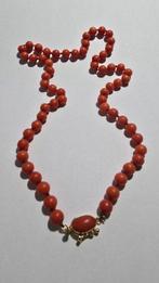 Halsketting - 18 karaat Geel goud Bloedkoraal, Handtassen en Accessoires, Nieuw