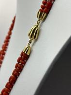 Collier - 18 carats Or jaune Corail - Corail