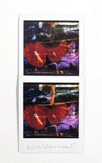 Maurizio Galimberti (1956–) - BiFlowers - 10907