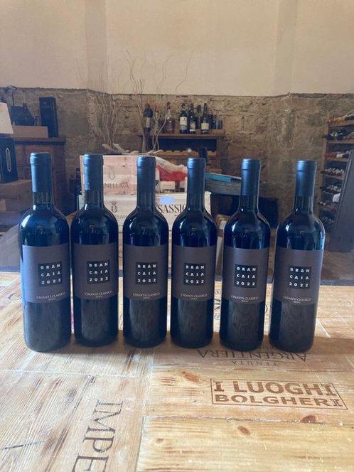 2022 Brancaia, Chianti Classico - Chianti Classico DOCG - 6, Verzamelen, Wijnen