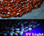 Extreem lange amber ketting 120 cm - Baltisch amber -