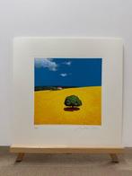 Giò Mondelli (1953) - Estate