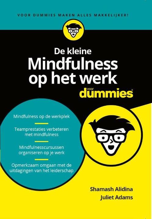 De kleine Mindfulness op het werk voor Dummies 9789045353555, Livres, Psychologie, Envoi
