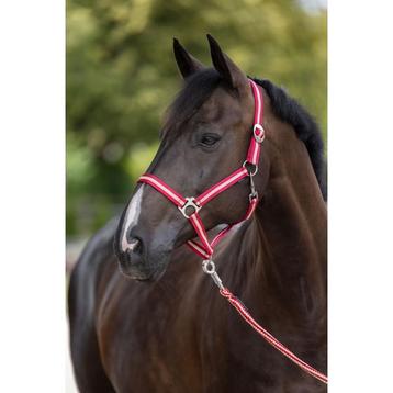 Licol hippo bordeaux/beige shetland - kerbl, Neuf