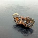 bewonderen Meteoriet Palasita. - 3.7 g