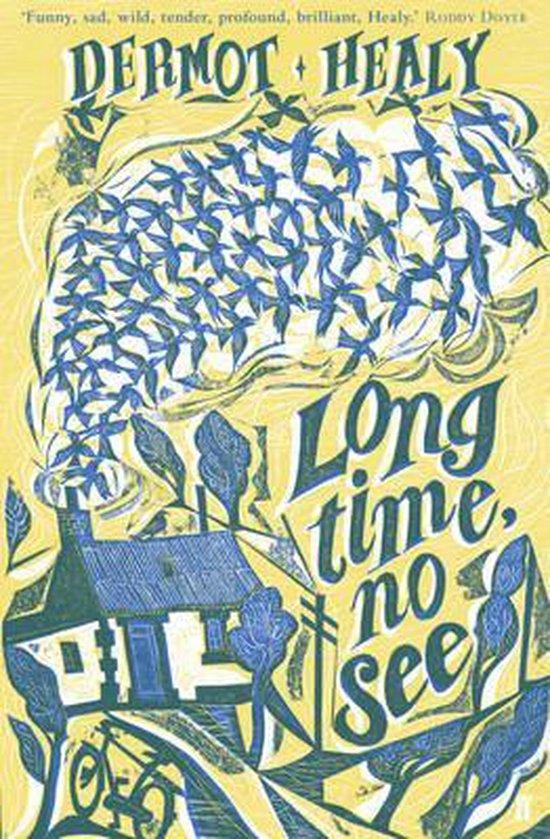 Long Time, No See 9780571210749 Dermot Healy, Livres, Langue | Anglais, Envoi