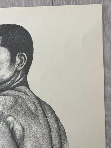 From Mishima G gash Wakamono   (Mishima Go Book