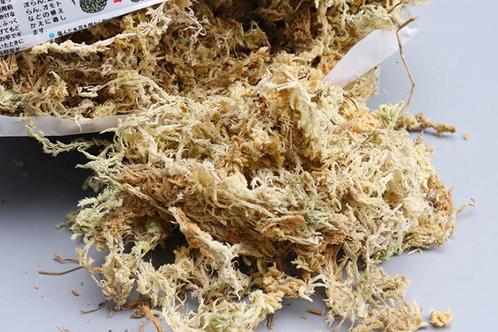 Veenmos spaghnum 12l gedroogd voor hydrocultuur,, Huis en Inrichting, Woonaccessoires | Kunstplanten en Kunstbloemen, Nieuw