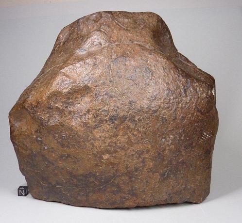 NWA non classé Sahara Météorite de pierre - 10.7 kg, Verzamelen, Mineralen en Fossielen
