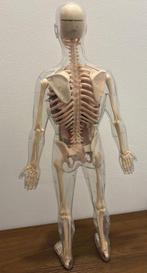 Matériel pédagogique - Plastique - 1990-2000
