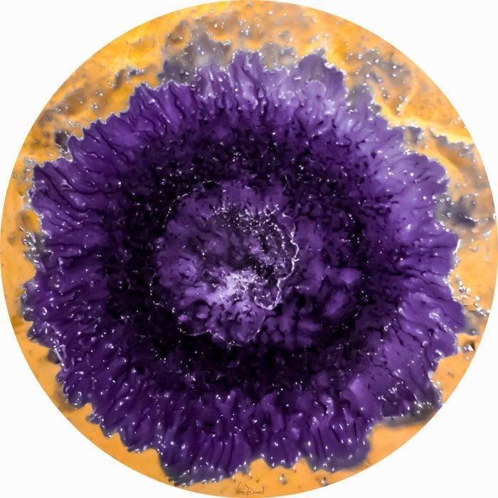 Véronique Dumont - Violette céleste, Antiek en Kunst, Kunst | Schilderijen | Modern