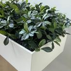 Plantenbak met kunstplanten, (bxd) 180x45 cm, MDF-wit