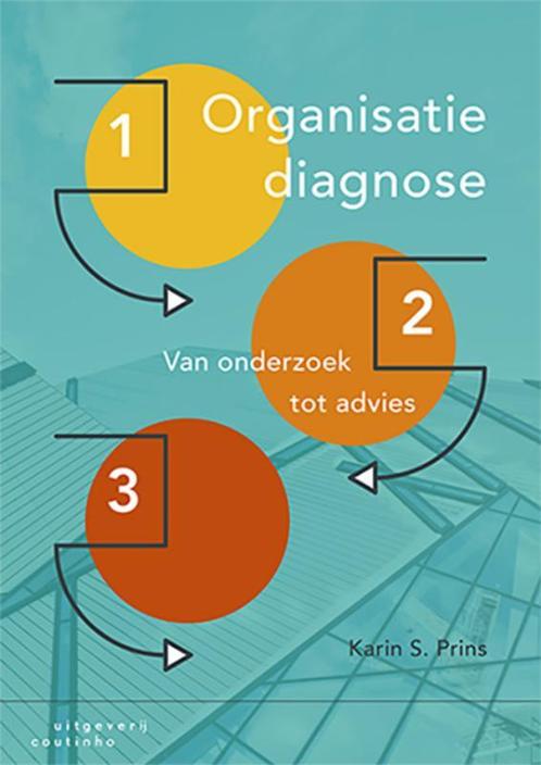 Organisatiediagnose 9789046906156 Karin S. Prins, Boeken, Schoolboeken, Zo goed als nieuw, Verzenden