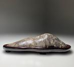 Suiseki japonais – pierre de paysage avec daiza en bois – -