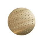 Hoofddouchekop Sanilux Disk Rond 20 cm Geborsteld Goud, Doe-het-zelf en Bouw, Nieuw, Kraan, Ophalen of Verzenden