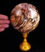Bal Versteend Hout / ..... incluant Stand Sphère - Hauteur :, Verzamelen, Mineralen en Fossielen