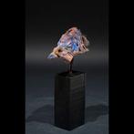 Fetisj eenden schedel - Vodou - Fon - Benin, Antiek en Kunst