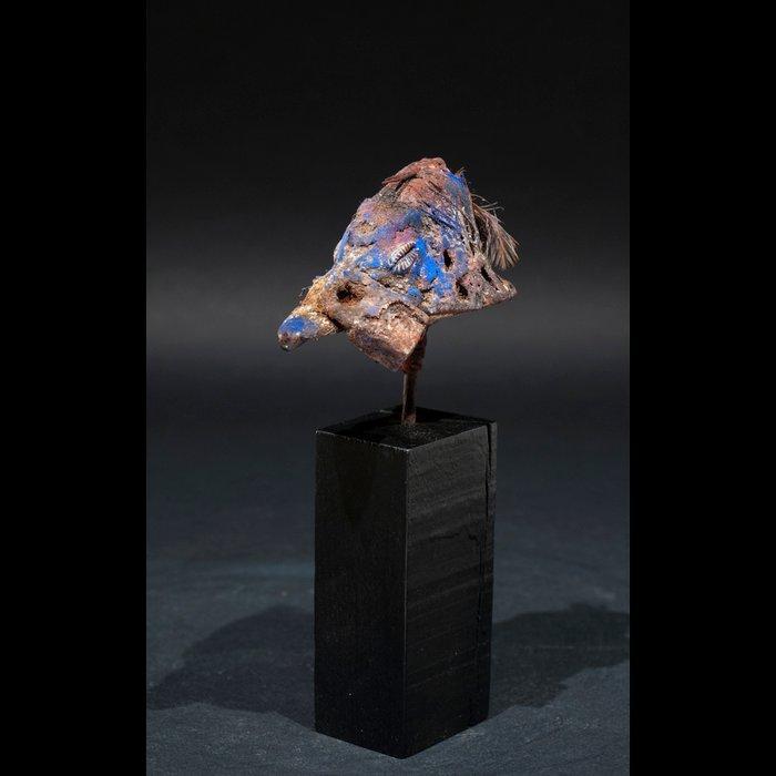 Fetisj eenden schedel - Vodou - Fon - Benin, Antiek en Kunst, Kunst | Niet-Westerse kunst