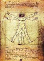 sculptuur, Art Sculpture The Vitruvian Man - 22 cm - Brons, Antiek en Kunst