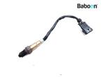 Capteur doxygène Aprilia RSV4 R (+Factory) 2009-2012, Motoren, Verzenden, Nieuw