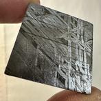 Aletai meteoriet Octaëdriet - Hoogte: 32.4 mm - Breedte:, Verzamelen