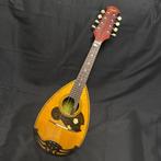 Suzuki - No.226 - - Mandoline - Japon - 1966, Muziek en Instrumenten, Nieuw