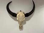 Buffel Schedel van een zoogdier - Onbekend - 62 cm - 82 cm -, Antiek en Kunst