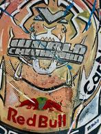 Eric Jan Kremer - Max Verstappen victory Abu Dhabi 2022 met, Nieuw