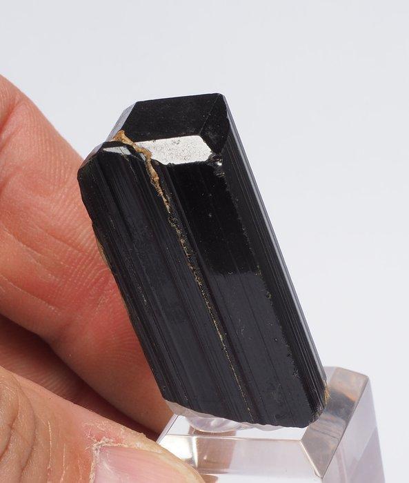 Tourmaline) Kristallen op matrix - Hoogte: 4 cm - Breedte:, Collections, Minéraux & Fossiles