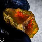 Zeer zeldzame natuurlijke AAA+++ Crystal Opal onbehandeld