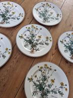 Villeroy & Boch - Bord (6) - Botanica - Porselein, Antiek en Kunst