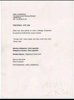 Karl Lagerfeld (1933–2019) - Trompe loeil cotton dress, Antiek en Kunst, Kunst | Schilderijen | Modern